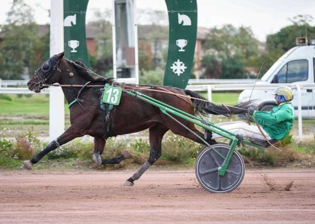 Icare du Béryl – Kentucky Idéal : joli doublé Premium à Toulouse