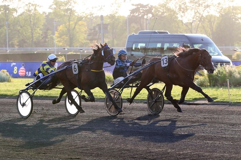 You are currently viewing Rentrée victorieuse du champion Idao de Tillard