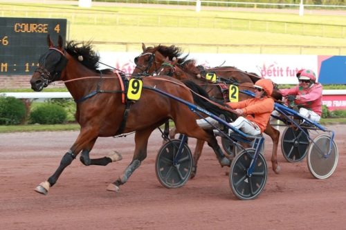 Midland d&rsquo;Oyse, Iggy des Rioults et Lady du Châtelet brillent au niveau Premium
