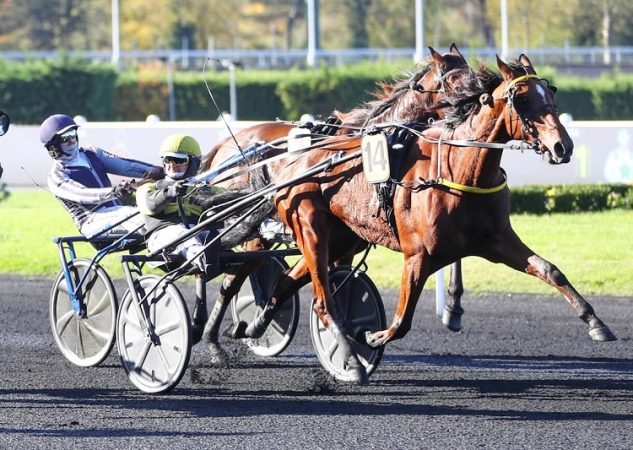 Inmarosa, première gagnante du meeting d&rsquo;hiver