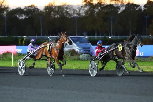 Belles valeurs d&rsquo;Inouï Danica et Intense de Tillard dans le Prix Louis Cauchois