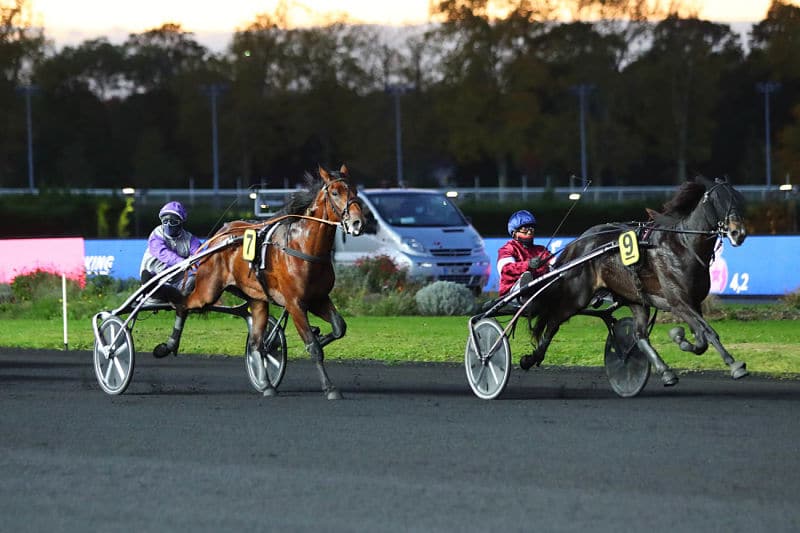 You are currently viewing Belles valeurs d&rsquo;Inouï Danica et Intense de Tillard dans le Prix Louis Cauchois