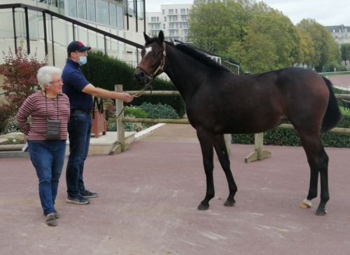 Une année record