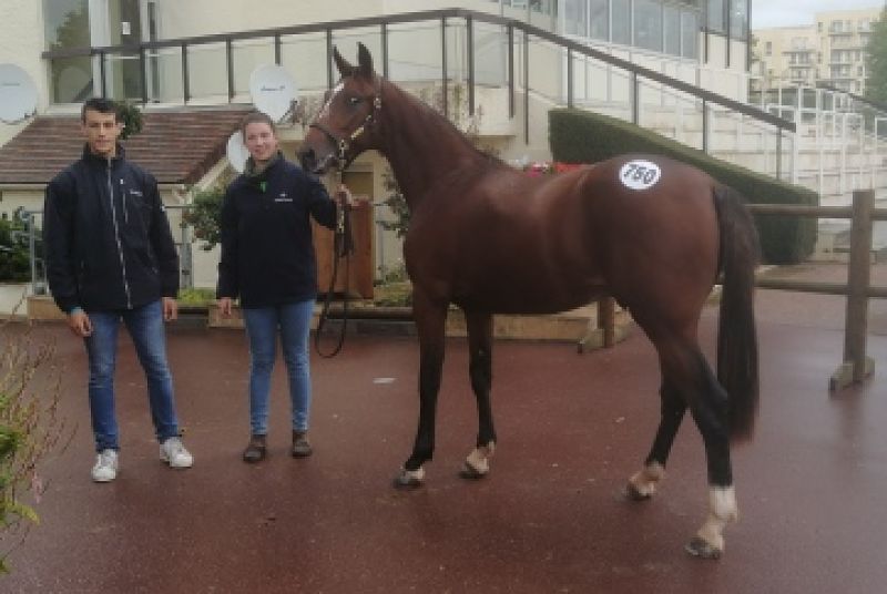 Vous consultez 7ème journée des Ventes : KALLAGAN fait afficher 26 000 €