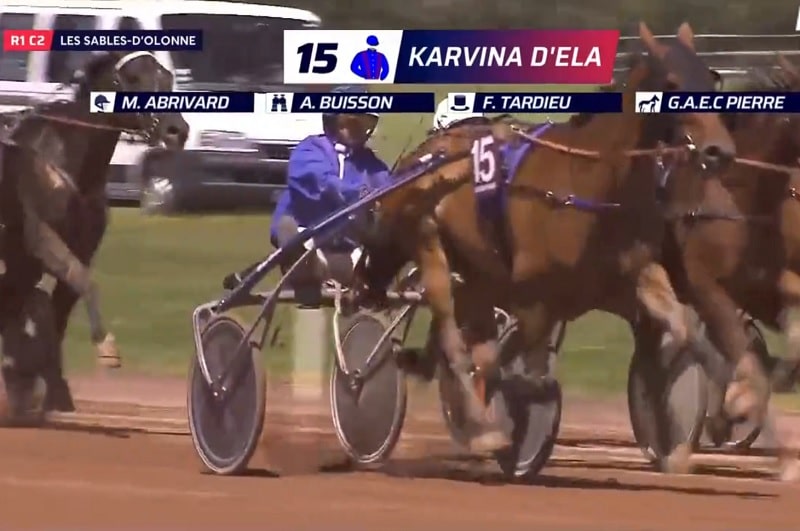 Vous consultez Karvina d&rsquo;Ela – Joyau Dairpet : double réussite Premium aux Sables-d&rsquo;Olonne