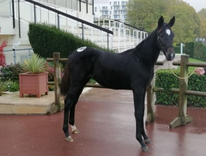 You are currently viewing Keengame, sœur de Cleangame, top price à 28 000 €