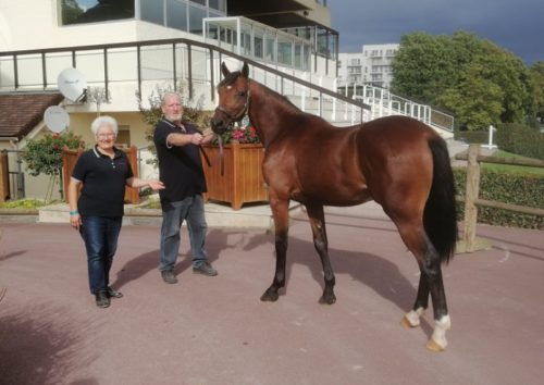 4ème journée des Ventes : Klassic de Tillard, top price à 28 000 € d&rsquo;une vente très active