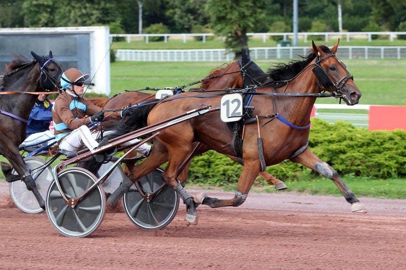You are currently viewing Kadence d&rsquo;Enfer – Farceur de Mai : joli doublé Premium à Enghien