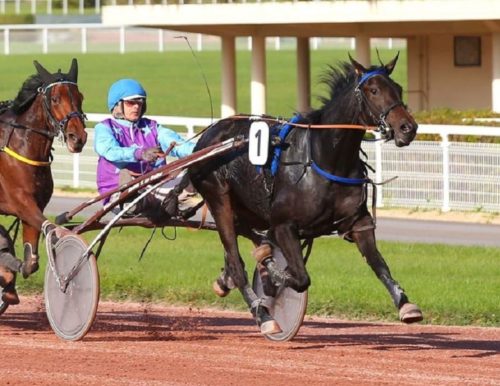 Premiers galons semi-classiques pour Kalie Glycines et Kansas de la Cour