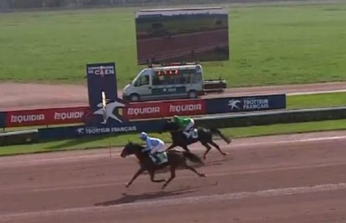 Kap Orne et Kashkaï brillent au niveau Premium
