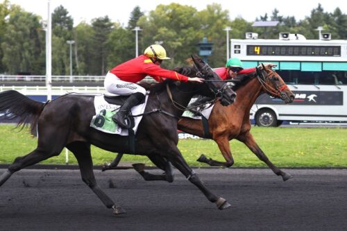 Kapaula de l&rsquo;Épine – Keengame : le très joli couplé gagnant du Prix Hervé Céran-Maillard