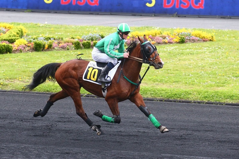 You are currently viewing Karlson Pass et Jaguar de Villetot : une double réussite à Vincennes