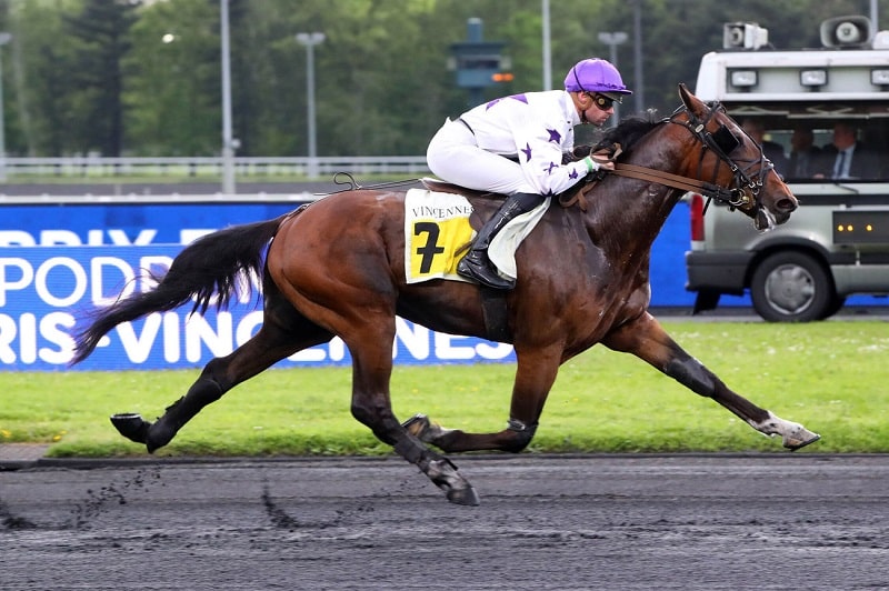 Vous consultez Kash de Tillard brille à Vincennes