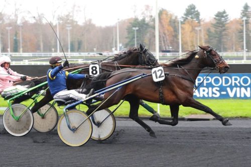 KOOL DES CHAMPS (2020)