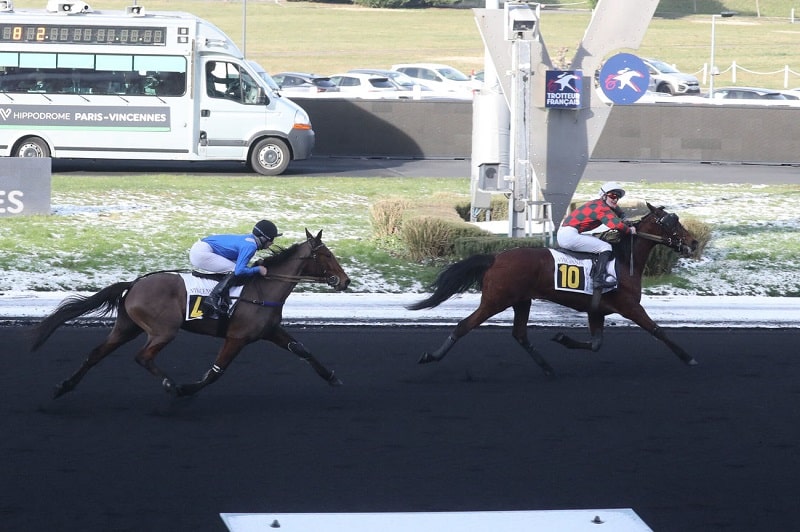 You are currently viewing Kyrielle des Vaux – Je Rêve du Bois – Hannibal Tuilerie : trois belles réussites parisiennes