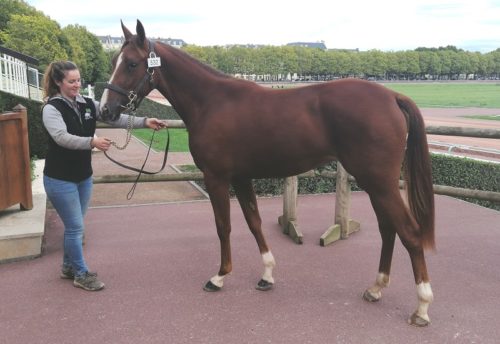 Lune de Fleur (Booster Winner) fait afficher 26 000 €