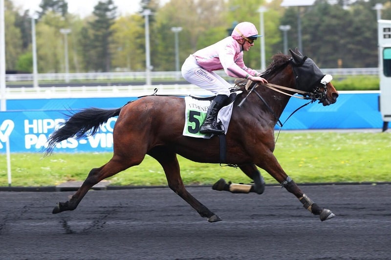 You are currently viewing Lyric passe la barre des 100 000 € de gains !