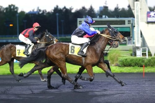 Première dans la carrière de Leader de Sèvre… à Vincennes