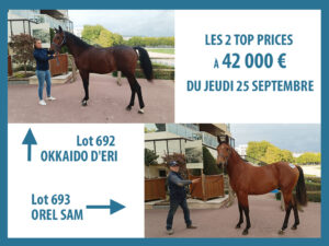 Lire la suite à propos de l’article Okkaïdo d&rsquo;Éri et Orel Sam top prices à 42 000 € d&rsquo;une nouvelle journée très active