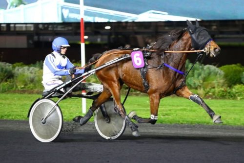 LILAS CASTELLE (2021)