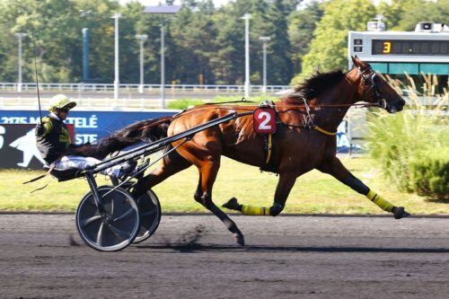 LIVE TO TELL ou la nouvelle belle histoire caennaise de Jacques Cottel