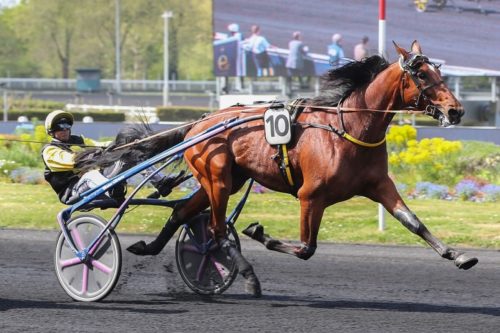 Une première à Vincennes pour le prometteur Live To Tell