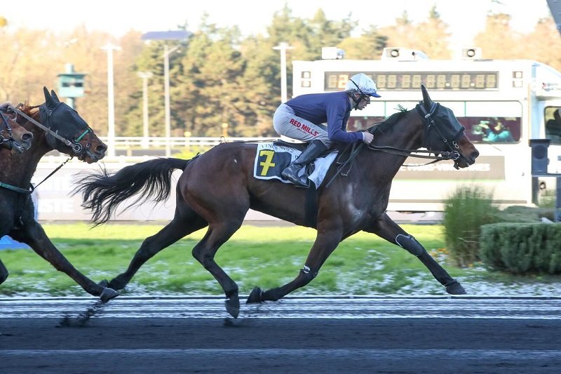 You are currently viewing Lord Fromentro frappe à Vincennes pour ses débuts sous la selle