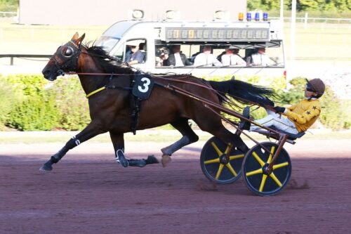 Loubiana du Bourg puissance 3