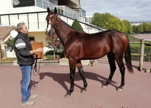 Lover Boy (Eridan), top price à 50 000 € d&rsquo;une journée record