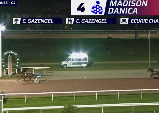 Lannister d&rsquo;Avril, Latino Béji, Hakim des Champs, Madison Danica et Mac Venesi brillent au niveau Premium