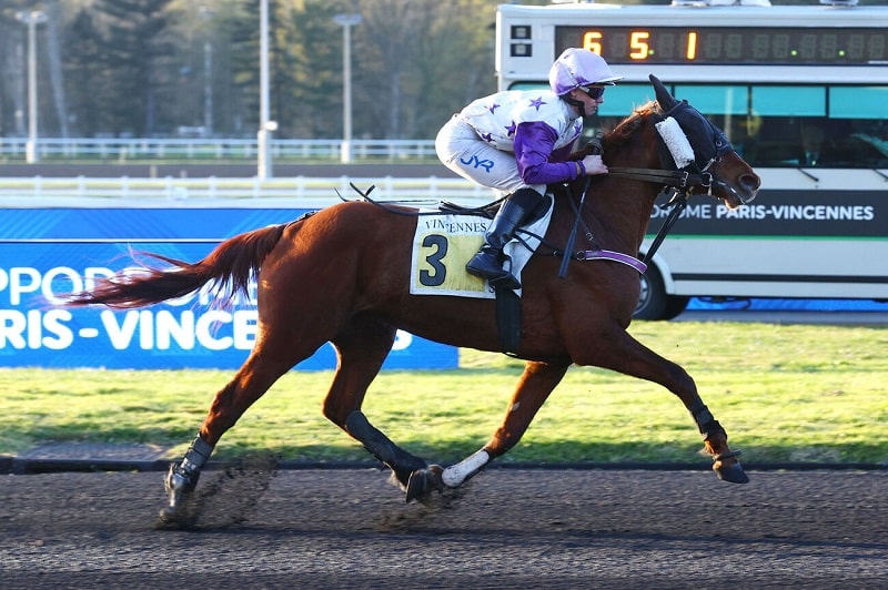 You are currently viewing Vincennes pour la première de Melody de Vivoin