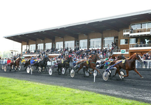 Lord Fromentro, notre 600ème gagnant de l&rsquo;année