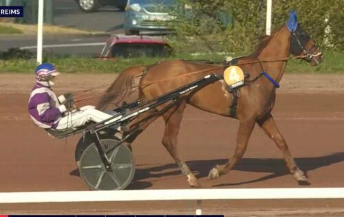 Mojito Céné débloque son compteur