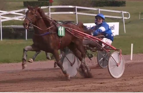 Belle première pour Moody de Vive