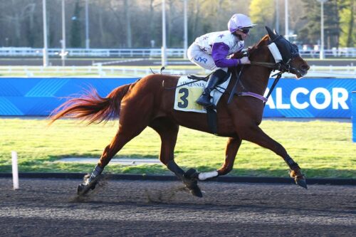 MELODY DE VIVOIN (2022)