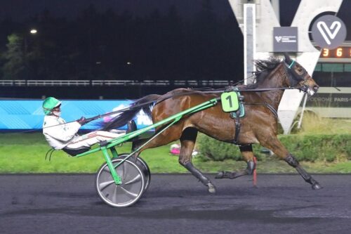 Milan du Bosquet confirme ses belles dispositions