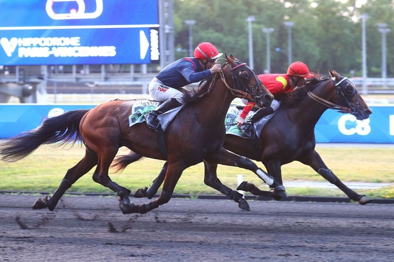 You are currently viewing Milor de la Vallée enchaîne