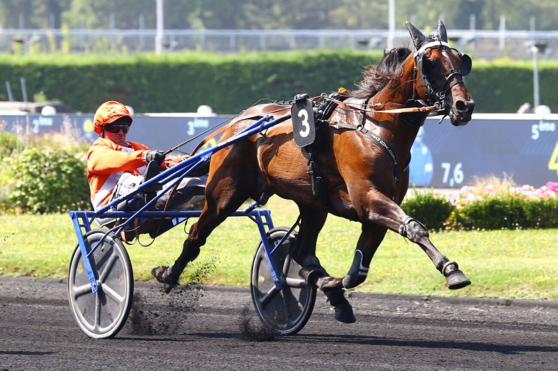 You are currently viewing MYSTIC SONATO, un deuxième top performeur chez nos 3 ans caennais