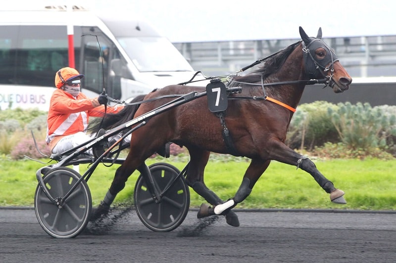 You are currently viewing Mystic Sonato confirme sur le mâchefer parisien