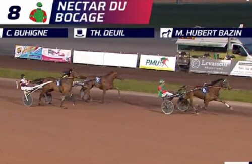 Mister Johns et Nectar du Bocage brillent au niveau Premium