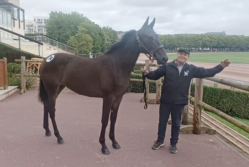 New Doll Nice, top price à 38 000 € d&rsquo;une journée d&rsquo;ouverture animée