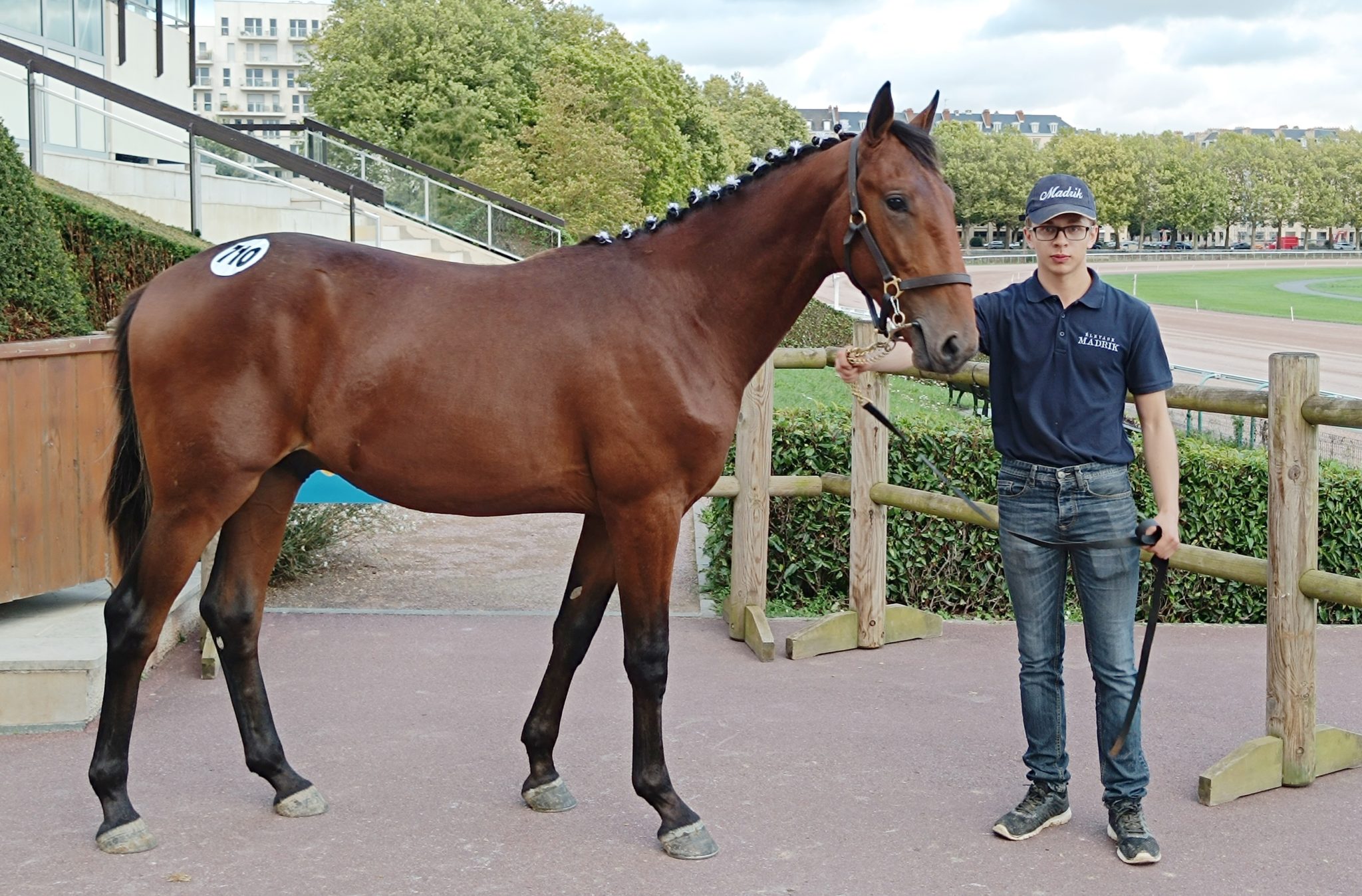 You are currently viewing Une nouvelle journée record avec un top price, Next Bond, à 40 000 € !