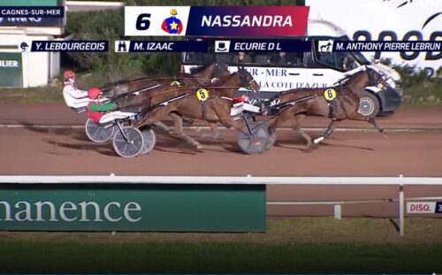 Le bilan du week-end : 7 gagnants dont l&rsquo;invaincue Nassandra