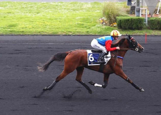 Ninja de l&rsquo;Envol et Nassandra, une double réussite au niveau semi-classique