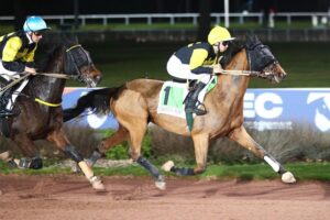 Lire la suite à propos de l’article Nelson Thoris reçu 2 sur 2