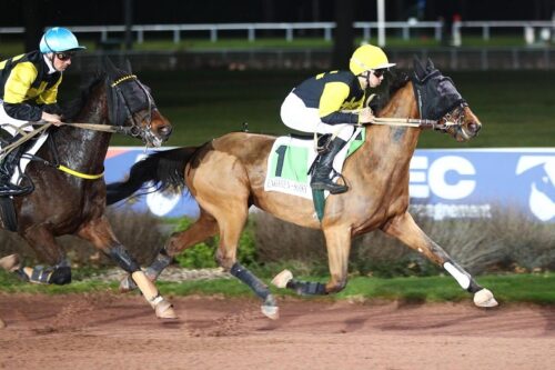 Nelson Thoris reçu 2 sur 2