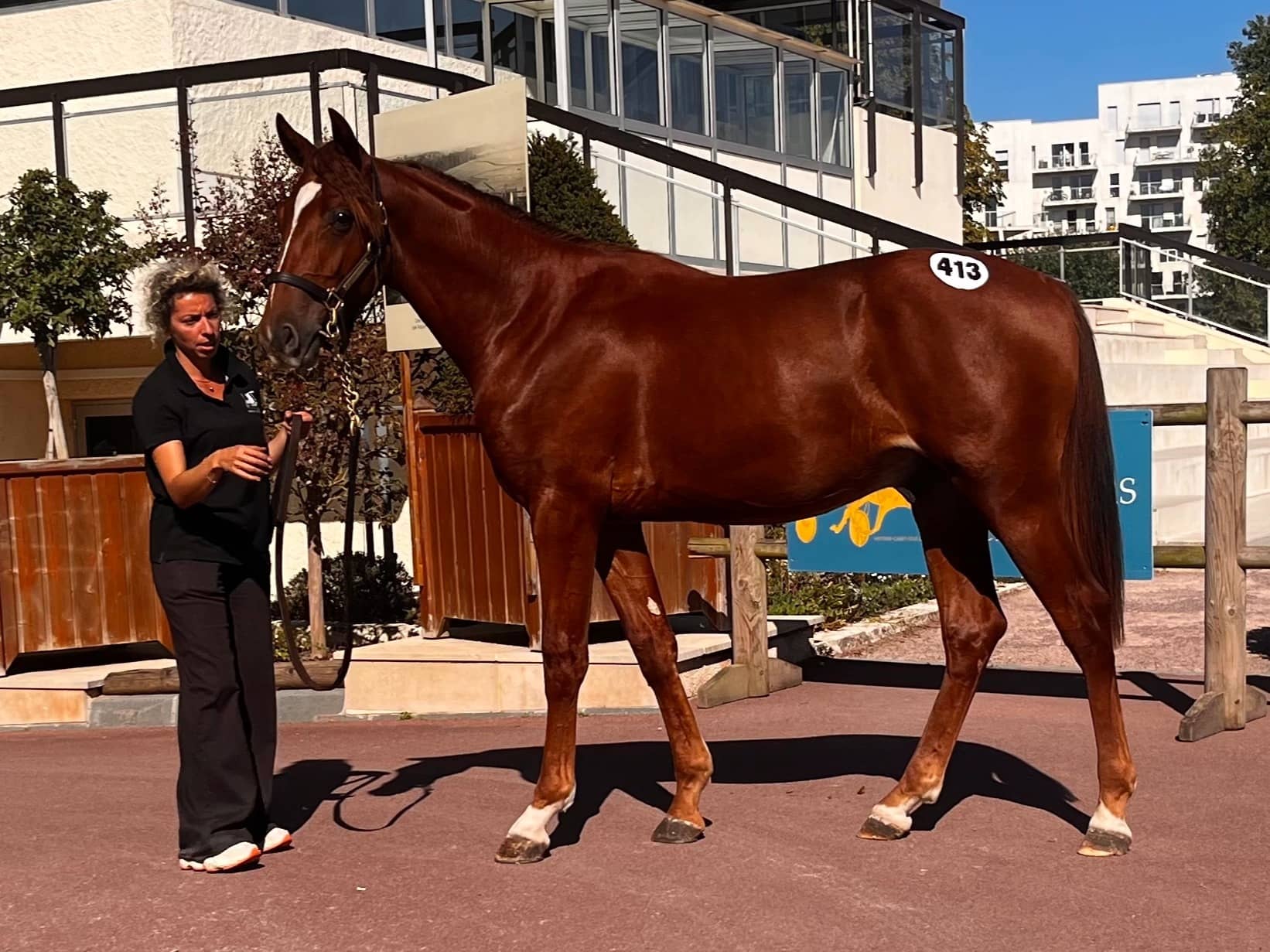 Vous consultez J4 : Prodige Delkarlito fait afficher 29 000 €
