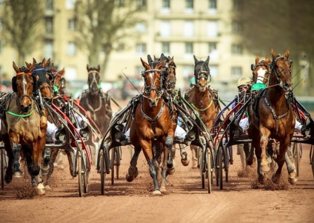 Le bilan du week-end : 10 réussites