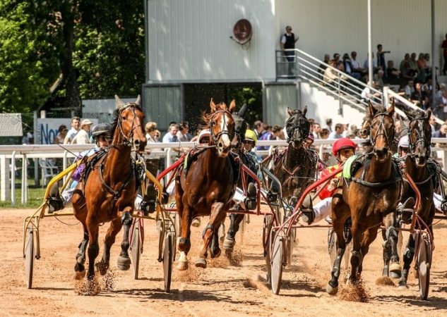 Le bilan du week-end : 8 réussites