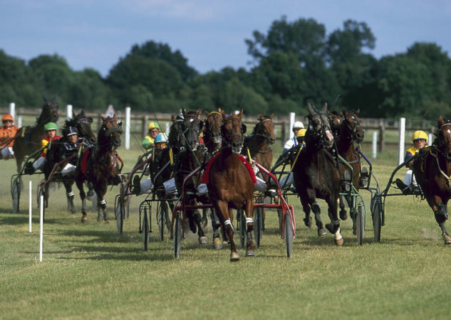 Le bilan du week-end : 10 gagnants
